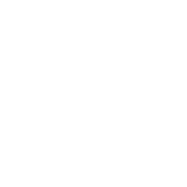 evince Consulting Logo